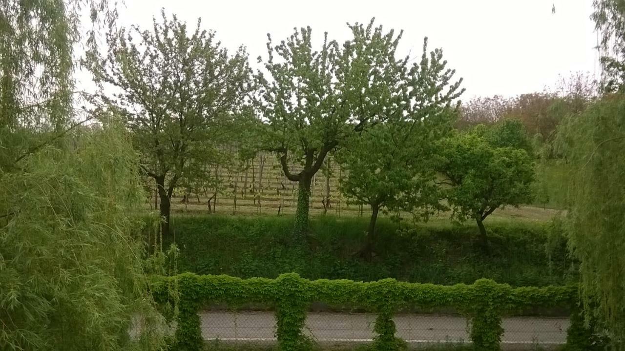 Agriturismo Cascina Barin 罗迪 外观 照片